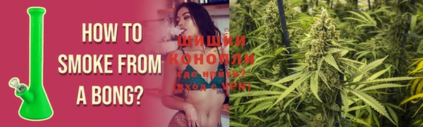 PSILOCYBIN Богородицк